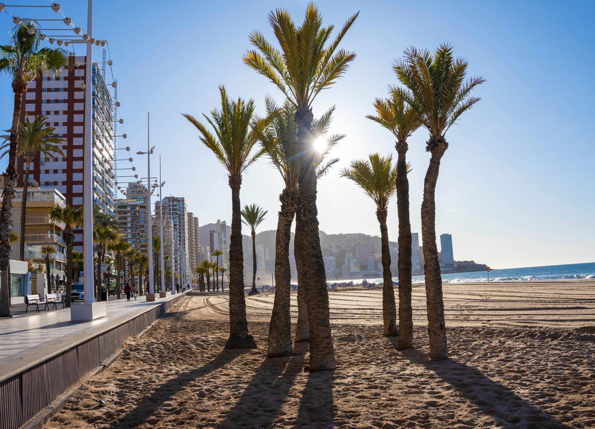 Apartament Las Palmeras 15D Benidorm Zewnętrze zdjęcie